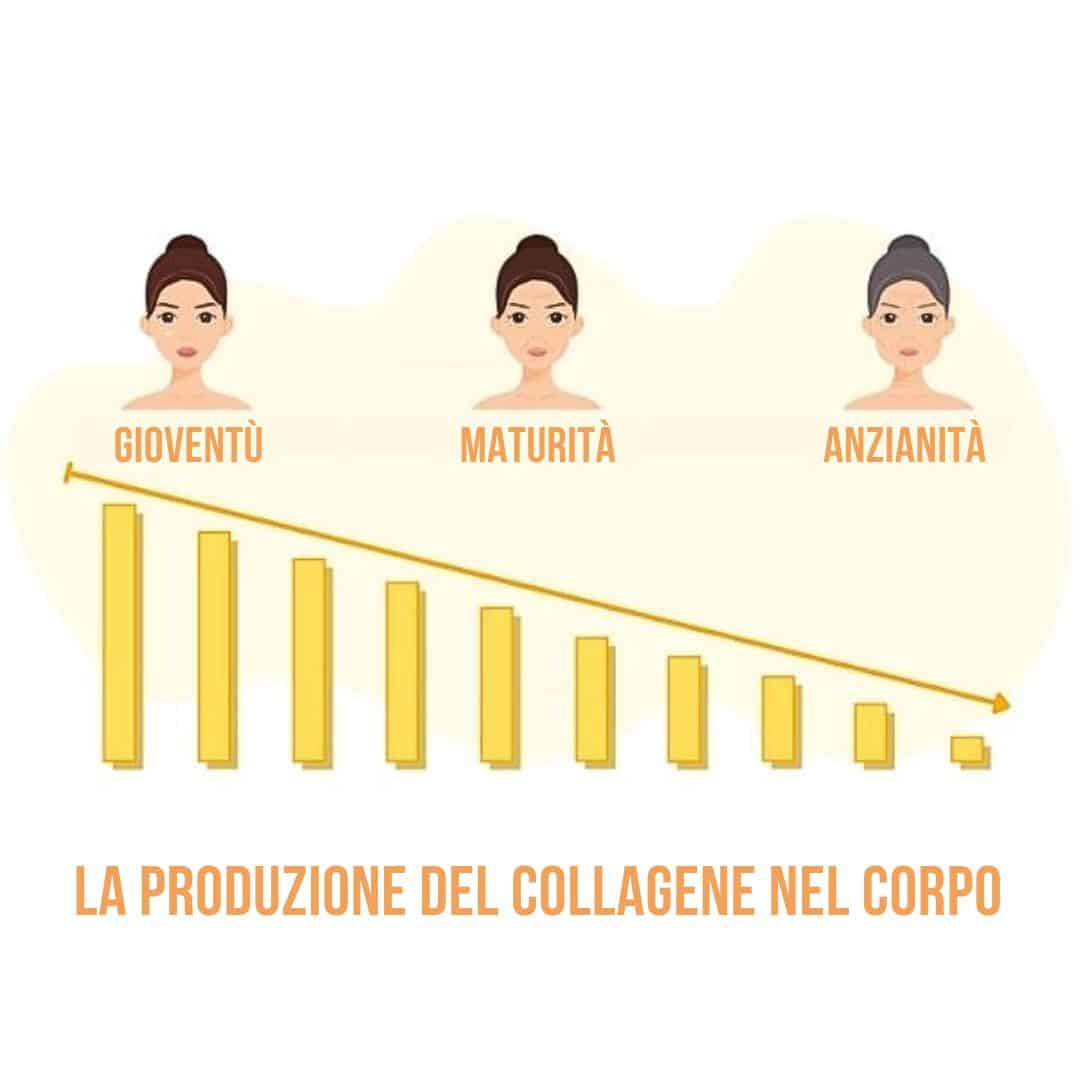 Collagen Powder Blend -50%